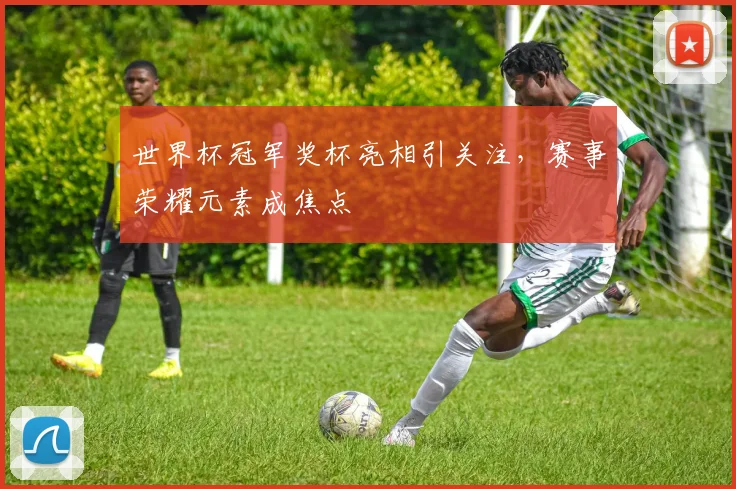 世界杯冠军奖杯亮相引关注，赛事荣耀元素成焦点